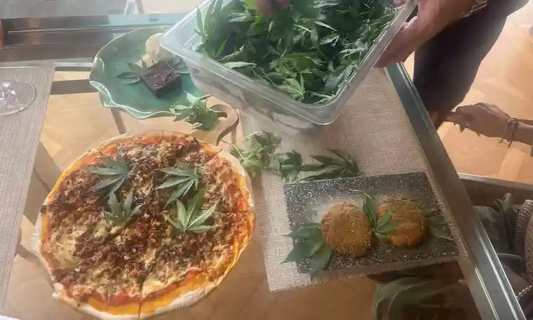 ‘Very good for tourists’: Thailand aims for high season with U-turn on cannabis